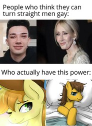 Size: 900x1223 | Tagged: safe, artist:johnjoseco, editor:apex soundwave, braeburn, caramel, earth pony, pony, g4, caption, celebrity, everypony's gay for braeburn, gay, image macro, irl, james charles, jk rowling, looking at you, male, meme, not shipping, photo, text