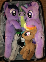 Size: 4032x3024 | Tagged: safe, spike, starlight glimmer, twilight sparkle, oc, oc:front page, oc:marina (efnw), oc:mocha sunrise, g4, everfree northwest, everfree northwest 2019, irl, merchandise, photo