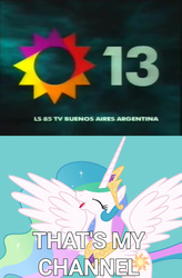 Size: 1165x1779 | Tagged: safe, princess celestia, alicorn, pony, g4, argentina, canal 13 (argentina), crown, eyes closed, female, happy, jewelry, mare, meme, open mouth, open smile, peytral, regalia, smiling, text, that's my horse, that's my x