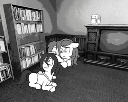 Size: 1280x1024 | Tagged: safe, artist:scraggleman, wallflower blush, oc, oc:floor bored, earth pony, pony, g4, backpack, bookshelf, floppy ears, lying down, monochrome, story included, story:lost and found, television