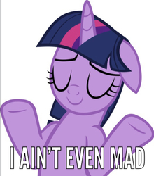 Size: 806x914 | Tagged: safe, twilight sparkle, alicorn, pony, g4, sparkle's seven, caption, female, image macro, meme, shrug, solo, text, twilight sparkle (alicorn)