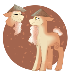 Size: 1024x1065 | Tagged: safe, artist:blu-fatiguemonster, earth pony, pony, asian conical hat, hat, lego, lego ninjago, master wu, ponified