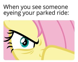 Size: 1157x921 | Tagged: safe, edit, edited screencap, editor:apex soundwave, screencap, fluttershy, pegasus, pony, best gift ever, g4, angry, bangs, caption, car, female, fluttershy is not amused, image macro, imminent death, implied car, looking at you, mare, solo, text, unamused