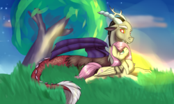 Size: 2000x1200 | Tagged: safe, artist:icefoxe, artist:irmi3, discord, fluttershy, draconequus, pegasus, pony, g4, collaboration, female, floppy ears, grass, hair over one eye, looking at each other, male, mare, prone, ship:discoshy, shipping, stars, straight, sun, tree
