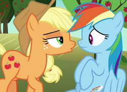 Size: 1019x742 | Tagged: safe, screencap, applejack, rainbow dash, earth pony, pegasus, pony, g4, grannies gone wild, season 8, apple tree, cropped, eye contact, female, lidded eyes, looking at each other, mare, out of context, tree