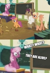 Size: 500x731 | Tagged: safe, edit, edited screencap, screencap, cheerilee, mane allgood, scootaloo, snap shutter, earth pony, pegasus, pony, g4, the last crusade, clothes, comic, cropped, female, filly, foal, hat, imgflip, male, mare, meme, parent, ponyville schoolhouse, scootaloo's parents, screencap comic, shirt, spoiler, stallion, text