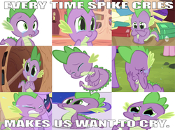 Size: 669x494 | Tagged: safe, edit, edited screencap, editor:undeadponysoldier, screencap, pinkie pie, princess luna, spike, twilight sparkle, alicorn, dragon, pony, unicorn, dragon quest, g4, over a barrel, owl's well that ends well, spike at your service, caption, crying, female, golden oaks library, image macro, male, mare, poor spike, sad, text, wrong aspect ratio