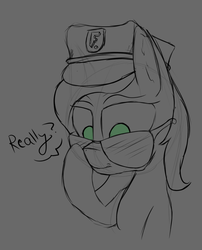 Size: 1624x2006 | Tagged: safe, artist:enragement filly, oc, oc:filly anon, pony, female, filly, police hat, really?, sunglasses