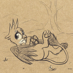 Size: 1055x1055 | Tagged: safe, artist:el-yeguero, gallus, griffon, behaving like a cat, cute, gallabetes, lineart, male, monochrome, on back, paw pads, paws, solo, underpaw