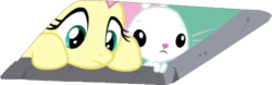 Size: 969x304 | Tagged: safe, edit, edited screencap, screencap, angel bunny, fluttershy, pegasus, pony, rabbit, between dark and dawn, g4, background removed, ceiling cat, ceiling pony, cute, female, mare, simple background, stare, transparent background