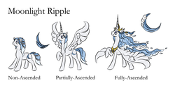 Size: 4800x2400 | Tagged: safe, artist:moonrisethemage, oc, oc only, oc:moonlight ripple, alicorn, earth pony, pony, alicorn oc, crown, ethereal mane, female, jewelry, mare, peytral, priestess, raised hoof, regalia, simple background, solo, spread wings, water mane, white background, wings