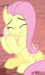 Size: 224x375 | Tagged: safe, screencap, fluttershy, pegasus, pony, g4, sweet and smoky, cropped, cute, egg, female, fluttermom, hug, mare, shyabetes