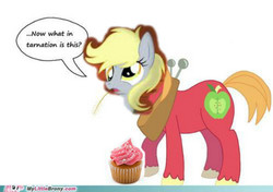 Size: 500x351 | Tagged: safe, big macintosh, derpy hooves, g4, 1000 hours in ms paint, artifact, cupcake, exploitable meme, food, meme, my little brony, old meme, speech bubble, what in tarnation