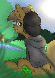 Size: 4960x7015 | Tagged: safe, artist:suchalmy, oc, oc only, oc:almond evergrow, earth pony, pony, chill, hipster, male, meadow, relaxed, solo, stallion