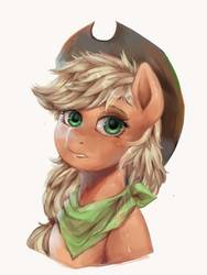 Size: 860x1142 | Tagged: safe, artist:riukime, applejack, earth pony, pony, g4, bandana, bust, female, looking at you, mare, portrait, simple background, solo, white background