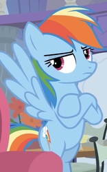 Size: 420x675 | Tagged: safe, screencap, rainbow dash, pegasus, pony, g4, non-compete clause, cropped, crossed hooves, female, mare, rainbow dash is not amused, solo, unamused
