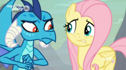 Size: 1680x940 | Tagged: safe, screencap, fluttershy, princess ember, dragon, pegasus, pony, g4, sweet and smoky, dragoness, duo, female, looking at each other, mare