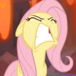 Size: 750x750 | Tagged: safe, screencap, fluttershy, pegasus, pony, g4, season 9, sweet and smoky, animated, cropped, faic, female, fluttershy is best facemaker, gif, low quality, mare, solo, yelling