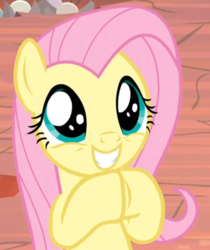 Size: 734x873 | Tagged: safe, screencap, fluttershy, pony, g4, sweet and smoky, cropped, cute, daaaaaaaaaaaw, excited, female, grin, hnnng, hooves together, mare, shyabetes, smiling, solo, weapons-grade cute