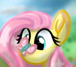 Size: 1071x954 | Tagged: safe, artist:rainbow eevee, fluttershy, butterfly, pony, g4, butterfly on nose, cloud, cute, daaaaaaaaaaaw, female, field, insect on nose, land, looking down, sky, solo