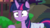 Size: 1920x1080 | Tagged: safe, screencap, twilight sparkle, alicorn, pony, g4, my little pony: friendship is magic, the point of no return, faic, female, mare, saddle bag, solo, twilight sparkle (alicorn)