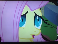 Size: 2592x1936 | Tagged: safe, screencap, fluttershy, pegasus, pony, g4, luna eclipsed, season 2, female, mare, photo, picture of a screen, scared, shrunken pupils, solo, terrified