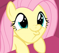 Size: 1149x1046 | Tagged: safe, screencap, fluttershy, pony, g4, sweet and smoky, cropped, cute, dashface, faic, female, mare, shyabetes, solo