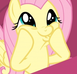 Size: 1091x1042 | Tagged: safe, screencap, fluttershy, pony, g4, sweet and smoky, cropped, cute, dashface, faic, female, mare, shyabetes, so awesome, solo