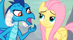 Size: 1365x740 | Tagged: safe, screencap, fluttershy, princess ember, dragon, pegasus, pony, g4, sweet and smoky, dragoness, duo, faic, female, lidded eyes, looking at each other, mare, shipping fuel