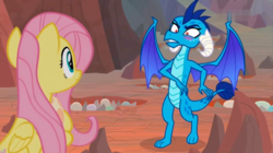Size: 1365x766 | Tagged: safe, screencap, fluttershy, princess ember, dragon, pegasus, pony, g4, sweet and smoky, blushing, dragon egg, dragoness, duo, egg, faic, female, looking at each other, mare, out of context
