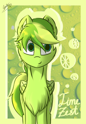 Size: 700x1000 | Tagged: safe, artist:chebypattern, oc, oc only, oc:lime zest, pegasus, pony, green background, lime, male, simple background, smiling, solo, stallion