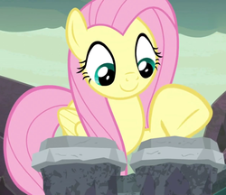 Size: 1249x1080 | Tagged: safe, screencap, fluttershy, pegasus, pony, g4, sweet and smoky, bongos, cropped, female, mare, musical instrument, raised hoof, solo