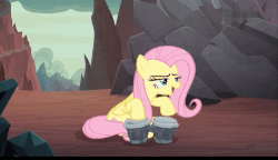 Size: 1000x575 | Tagged: safe, screencap, fluttershy, pegasus, pony, g4, season 9, sweet and smoky, animated, bongos, female, mare, musical instrument, playing instrument, solo