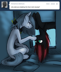 Size: 589x699 | Tagged: safe, artist:lonelycross, marble pie, oc, oc:thunder smash, pegasus, pony, ask lonely inky, g4, apartment, ask, bed, bedroom, boop, canon x oc, choker, comic, female, lesbian, lonely inky, pillow, question, talking, tumblr, upside down, window