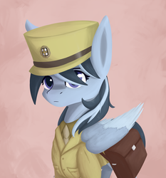 Size: 1820x1950 | Tagged: safe, artist:phi, oc, oc only, oc:winter breeze, pegasus, pony, equestria at war mod, clothes, simple background, solo