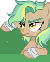 Size: 600x738 | Tagged: dead source, safe, artist:rainbows-skies, oc, oc only, oc:golden daze, pegasus, pony, base used, female, mare, nose piercing, piercing, simple background, solo