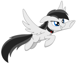 Size: 1749x1479 | Tagged: safe, artist:lonebigcity, oc, oc only, oc:mirny angara, pegasus, pony, collar, female, flying, grin, simple background, smiling, solo, transparent background