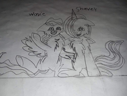Size: 1098x824 | Tagged: safe, artist:christle-flyer-ssl, oc, oc only, oc:shavey, oc:wavie, pegasus, pony, unicorn, female, filly, foal, horn, irl, male, photo, smiling, traditional art, wings
