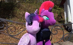 Size: 3264x2038 | Tagged: safe, artist:ejlightning007arts, tempest shadow, twilight sparkle, alicorn, pony, unicorn, g4, build-a-bear, chair, cute, duo, female, high res, irl, lesbian, merchandise, outdoors, photo, photography, plushie, ship:tempestlight, shipping, tempestbetes, twiabetes, twilight sparkle (alicorn)