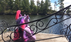 Size: 3264x1926 | Tagged: safe, artist:ejlightning007arts, tempest shadow, twilight sparkle, alicorn, pony, unicorn, g4, bench, build-a-bear, chair, cute, duo, female, irl, island, lake, lesbian, merchandise, photo, photography, plushie, ship:tempestlight, shipping, sitting, tempestbetes, tree, twiabetes, twilight sparkle (alicorn), water