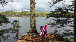 Size: 3264x1805 | Tagged: safe, artist:ejlightning007arts, tempest shadow, twilight sparkle, alicorn, pony, g4, build-a-bear, cliff, cloud, cloudy, duo, female, irl, island, lake, lesbian, outdoors, photo, photography, plushie, ship:tempestlight, shipping, tree, twilight sparkle (alicorn), water, wing blanket