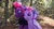 Size: 3264x1785 | Tagged: safe, artist:ejlightning007arts, tempest shadow, twilight sparkle, alicorn, pony, unicorn, g4, build-a-bear, cute, duo, female, irl, lesbian, outdoors, photo, photography, plushie, ship:tempestlight, shipping, tempestbetes, tree, twiabetes, twilight sparkle (alicorn)