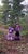 Size: 1276x2448 | Tagged: safe, artist:ejlightning007arts, tempest shadow, twilight sparkle, alicorn, pony, g4, build-a-bear, cute, female, irl, leaves, photo, photography, plushie, tempestbetes, tree, twiabetes, twilight sparkle (alicorn), wood