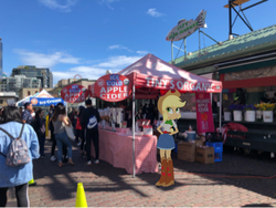 Size: 750x564 | Tagged: safe, applejack, human, equestria girls, g4, amerijack, equestria girls in real life, farmers market, irl, irl human, photo, pike place market, real life background, seattle, street, united states, washington