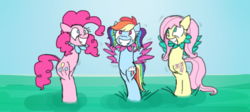 Size: 725x325 | Tagged: dead source, safe, artist:nxzc88, fluttershy, pinkie pie, rainbow dash, earth pony, pegasus, plant pony, pony, g4, alternate hairstyle, armless, body modification, colored, female, flower, forced smile, grin, inanimate tf, nonsense tf, pigtails, plant transformation, sketch, smiling, spread wings, transformation, transformed, trio, trio female, wiggle, wings