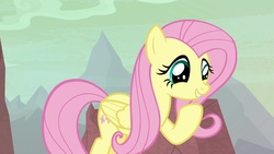 Size: 1920x1080 | Tagged: safe, screencap, fluttershy, pegasus, pony, g4, sweet and smoky, cute, female, mare, raised hoof, shyabetes, smiling, solo