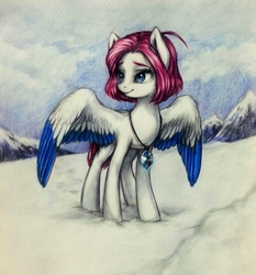 Size: 1789x1921 | Tagged: safe, artist:su50, oc, oc only, oc:haze, pegasus, pony, female, jewelry, mare, mountain, pendant, scenery, smiling, snow, solo, traditional art