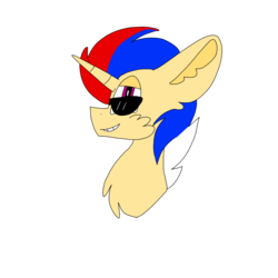 Size: 1378x1378 | Tagged: safe, artist:circuspaparazzi5678, oc, oc only, oc:daring bash, pony, unicorn, australian, redesign, sunglasses