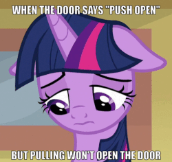 Size: 507x478 | Tagged: safe, edit, edited screencap, screencap, twilight sparkle, alicorn, pony, g4, the point of no return, bust, cropped, cute, female, floppy ears, gif, non-animated gif, sad, sadorable, solo, text, twiabetes, twilight sparkle (alicorn)
