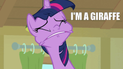 Size: 1280x720 | Tagged: safe, edit, edited screencap, screencap, twilight sparkle, alicorn, pony, g4, my little pony: friendship is magic, the point of no return, faic, female, gif, non-animated gif, solo, text, twilight sparkle (alicorn)